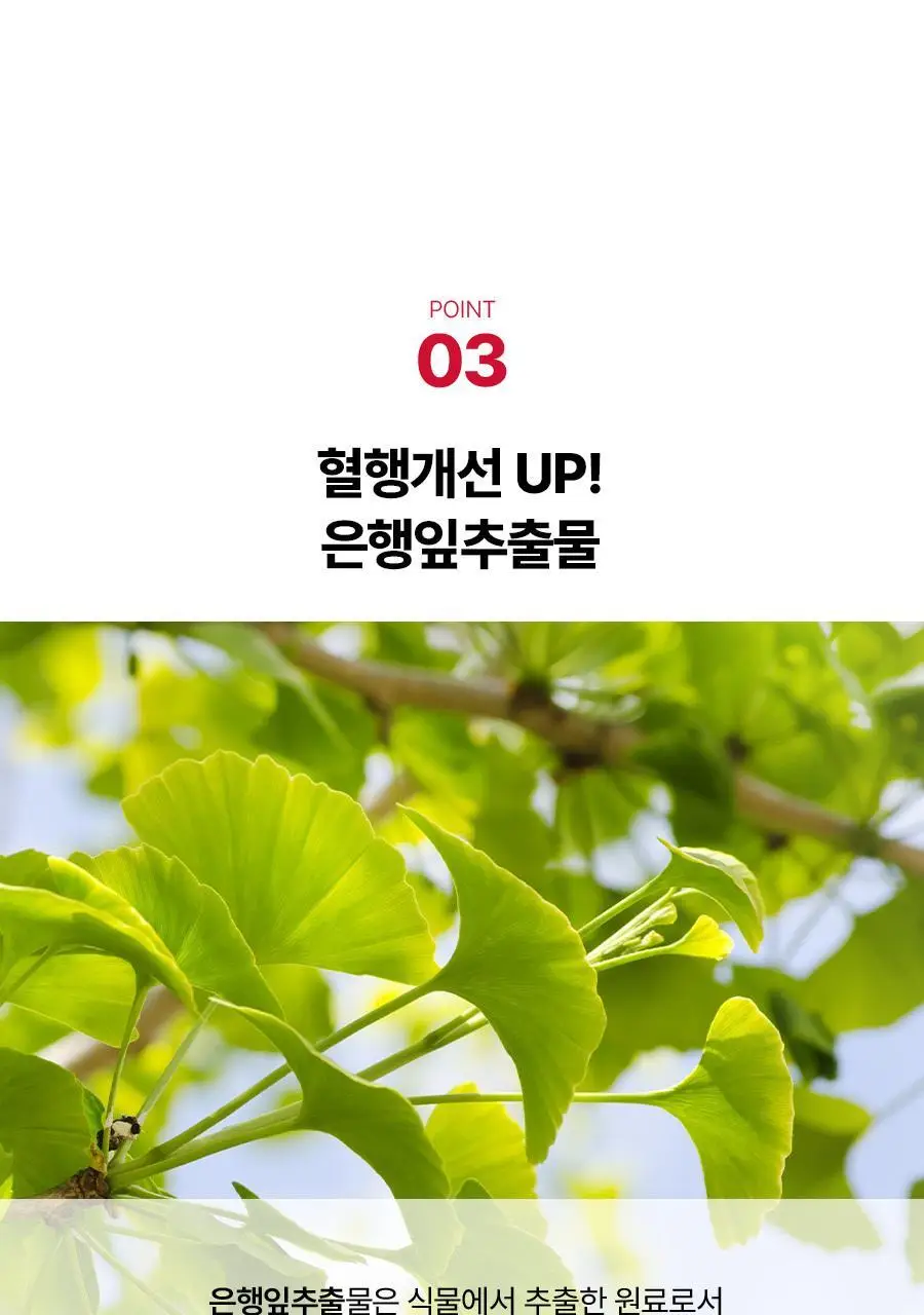 [서현PICK] 콜레올로지 티 PRO 하비탈출 8,000mg X 7포/15포 (7일분/15일분) 상세페이지 21